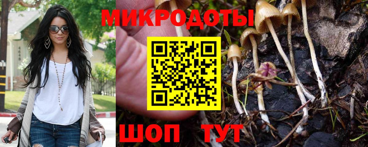 Галлюциногенные грибы мицелий Сочи